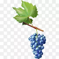 葡萄脱钩果-空若网 葡萄脱钩果-空若网