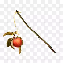 ֲ�ﾥ��Ӱ-ƻ��֦-������