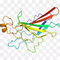 �ߵ������������-������