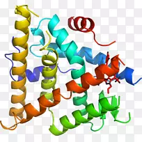 �����߶����������-������