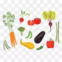 ����ͼ����Ʋ�ͼ.ʳ���߲�-������