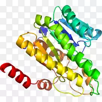 人体珠宝系列有机体剪贴画-珠宝-空若网 人体珠宝系列有机体剪贴画-珠宝-空若网