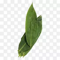 免费-美丽的竹叶图片材料-空若网 免费-美丽的竹叶图片材料-空若网