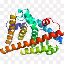 人体珠宝有机体线条剪贴画.珠宝-空若网 人体珠宝有机体线条剪贴画.珠宝-空若网