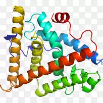 人体珠宝有机体线条剪贴画.珠宝-空若网 人体珠宝有机体线条剪贴画.珠宝-空若网