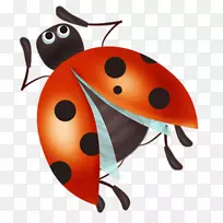 ư�����������-����-������