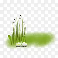 �л�ֲ�ﾥ�����ֽ-��Ҷ-������