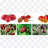 布希番茄,荔枝,罗望子种子-茄子-空若网 布希番茄,荔枝,罗望子种子-茄子-空若网