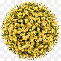 亚马逊(Amazon.com)彩纸黄金派对婚礼-地球卡通创意-空若网 亚马逊(Amazon.com)彩纸黄金派对婚礼-地球卡通创意-空若网