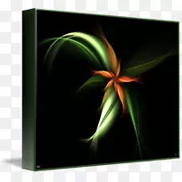 静物摄影树叶桌面壁纸-空若网 静物摄影树叶桌面壁纸-空若网