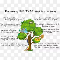 北荷里活开花植物叶柄-空若网 北荷里活开花植物叶柄-空若网