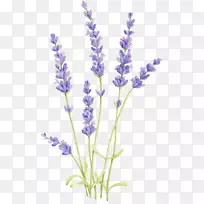 ˮ�ʻ�����-������