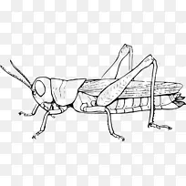 �������ϻȳ����������-������