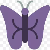 �Գ����-������