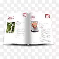 Ʒ���ֲ�-æµ�ĸ�ĸ-������