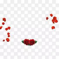 花瓣沙滩玫瑰情人节爱情红玫瑰花瓣玫瑰-空若网 花瓣沙滩玫瑰情人节爱情红玫瑰花瓣玫瑰-空若网