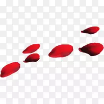 花瓣滩玫瑰花叶玫瑰漂浮的碎片-空若网 花瓣滩玫瑰花叶玫瑰漂浮的碎片-空若网