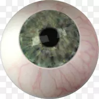 ��Ĥ��ɫ�˹���-PNG-������