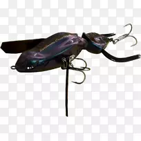 法拉利F12履带渔饵&诱饵昆虫-空若网 法拉利F12履带渔饵&诱饵昆虫-空若网