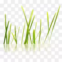 Burvrouwen boxtelse Bureau n�������Ʒ-gr-������