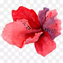 Ë®²Ê»-Ãâ·Ñ»¨-¿ÕÈôÍø Ë®²Ê»-Ãâ·Ñ»¨-¿ÕÈôÍø