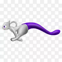 猫科动物-猫-空若网 猫科动物-猫-空若网