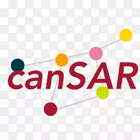 BRAF��֢�о���HCT 116ϸ��KRAS-����-������