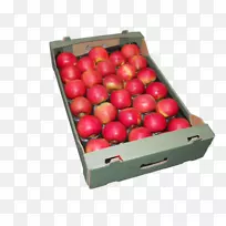 ��ȻʳƷ����ʳƷӣ��ƻ���ʼ����-������