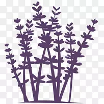 ޹�²ݣ�޹�²�-������