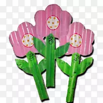 切花花盆花瓣开花植物-民间花-空若网 切花花盆花瓣开花植物-民间花-空若网