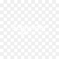 ������������S.A.��֯�о�΢����ѧ��־-������