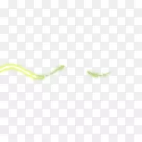 绿草近景线-空若网 绿草近景线-空若网