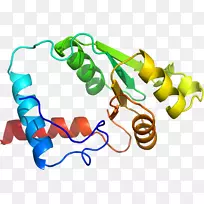 蔬菜有机体系列剪贴画-蔬菜-空若网 蔬菜有机体系列剪贴画-蔬菜-空若网