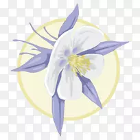 花瓣设计-空若网 花瓣设计-空若网