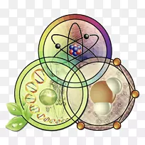 Neet·2018化学、物理、生物学-科学-空若网 Neet·2018化学、物理、生物学-科学-空若网