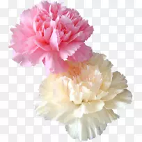 非博客中心书法-oeillet-空若网 非博客中心书法-oeillet-空若网