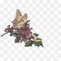 À¥³æ¿ª»¨Ö²Îﴫ˵ÖеÄÉúÎï-¿ÕÈôÍø À¥³æ¿ª»¨Ö²Îﴫ˵ÖеÄÉúÎï-¿ÕÈôÍø