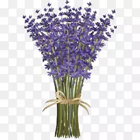 Ӣ��޹�²ݻ�������޹�²ݻ�-������