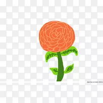 �л����������-������