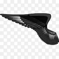 ����ʹ����-������