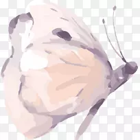 ºûµûË®²Ê».¿¨Í¨ÊÖ»æË®²Ê»ºûµû-¿ÕÈôÍø ºûµûË®²Ê».¿¨Í¨ÊÖ»æË®²Ê»ºûµû-¿ÕÈôÍø