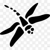 �������Ѽ�����.����-������