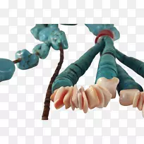 手指填充动物和可爱玩具塑料有机体-男女标志-空若网 手指填充动物和可爱玩具塑料有机体-男女标志-空若网