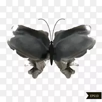 ºûµûË®²Ê»ÉãÓ°.ˮīºûµû-¿ÕÈôÍø ºûµûË®²Ê»ÉãÓ°.ˮīºûµû-¿ÕÈôÍø