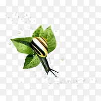 ��������-����-������