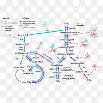 线角点字体线-空若网 线角点字体线-空若网