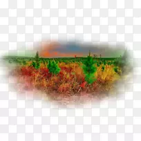 桌面壁纸电脑天空plc-秋景-空若网 桌面壁纸电脑天空plc-秋景-空若网