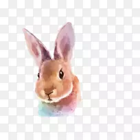 Ë®²Ê»ÍÃ×Ó²åͼÊÖ»æÍÃ-¿ÕÈôÍø Ë®²Ê»ÍÃ×Ó²åͼÊÖ»æÍÃ-¿ÕÈôÍø