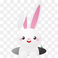 欧洲兔动画-卡通兔-空若网 欧洲兔动画-卡通兔-空若网