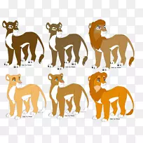 狮子狗繁殖猫科动物-空若网 狮子狗繁殖猫科动物-空若网